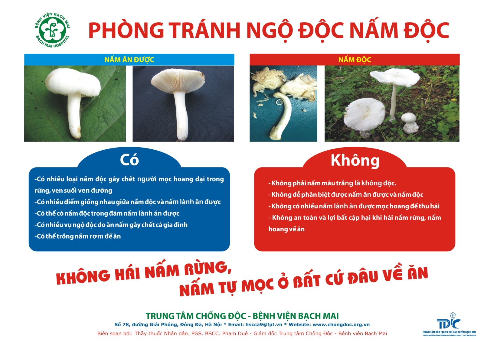 Phòng chống ngộ độc nấm độc